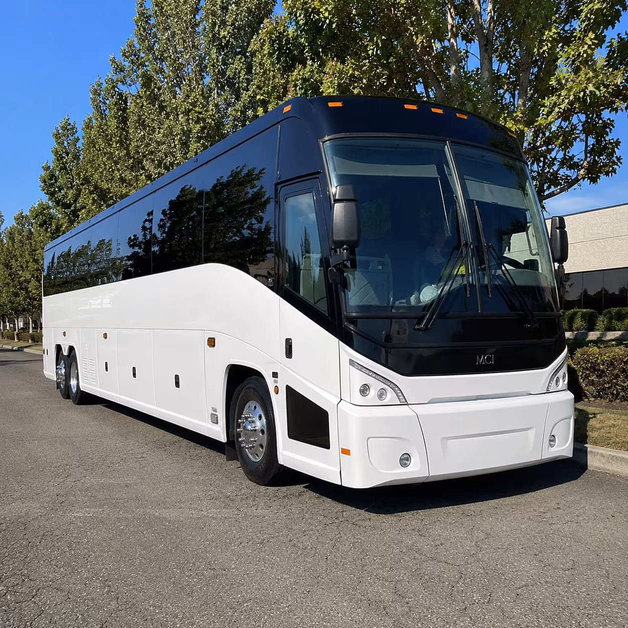 modesto 50 passenger charter bus